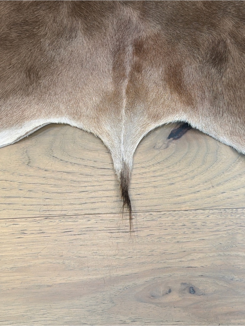 Vintage Genuine Goatskin Hide Rug Mallorca Spain Brown & White Hair-On Hide - Picture 6 of 11